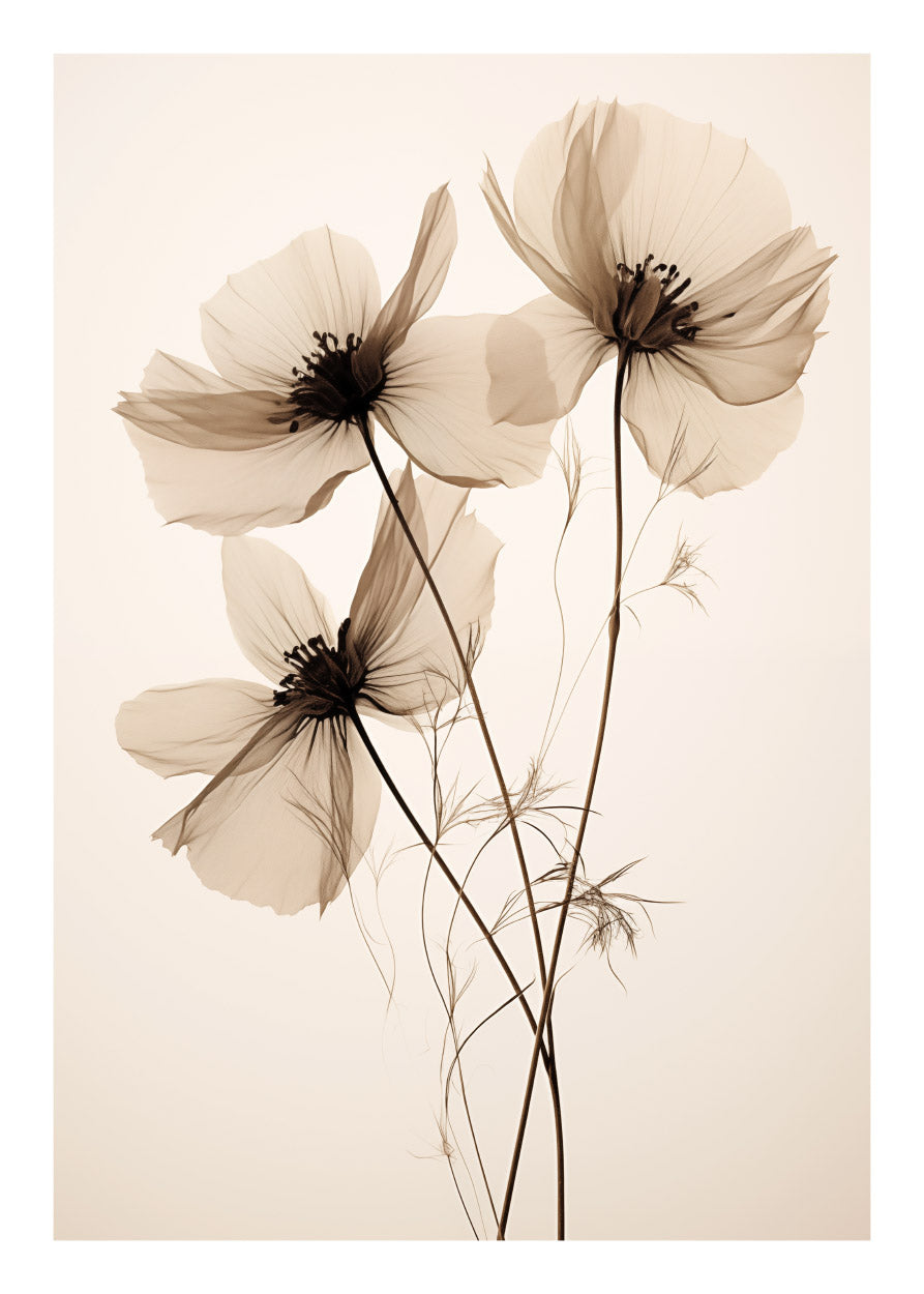 Flowers Beige