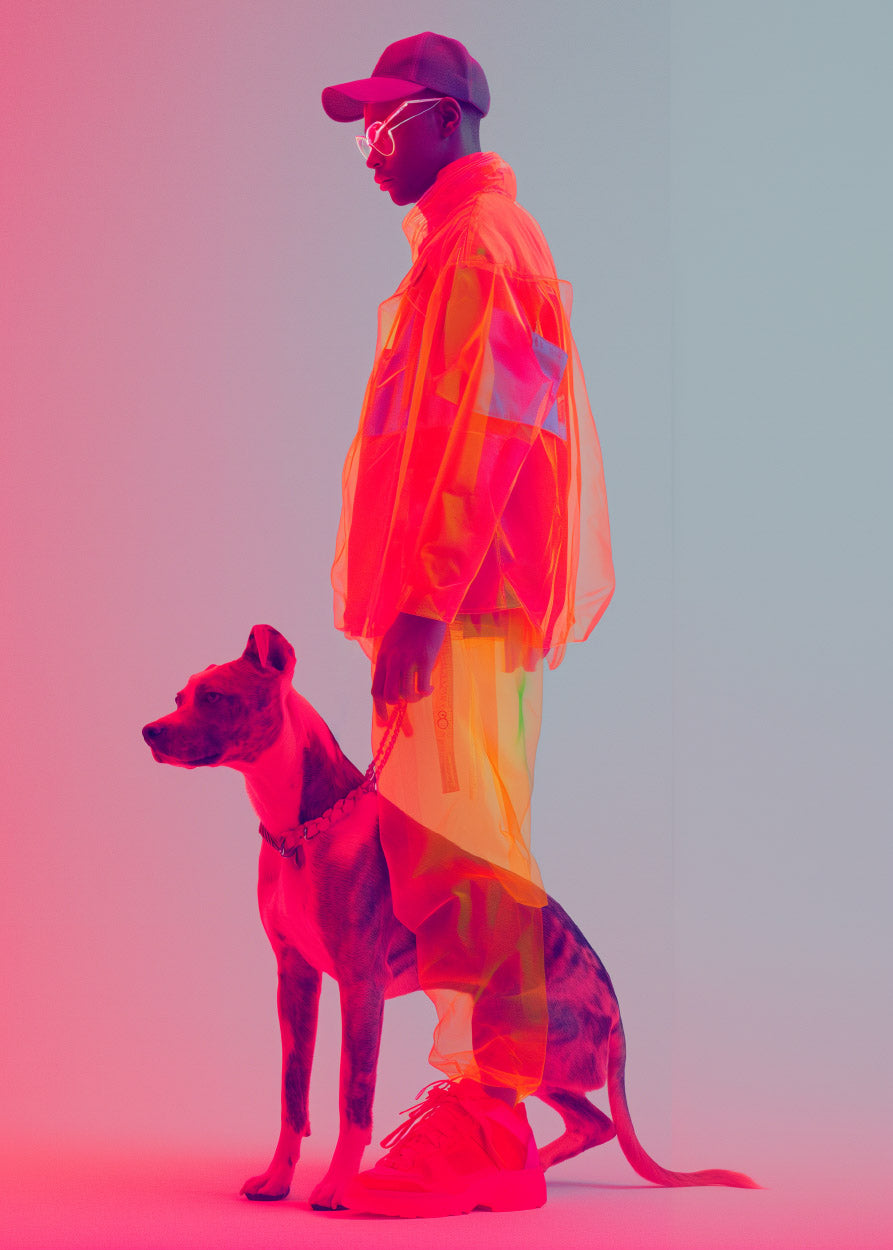 Cyberdog 1