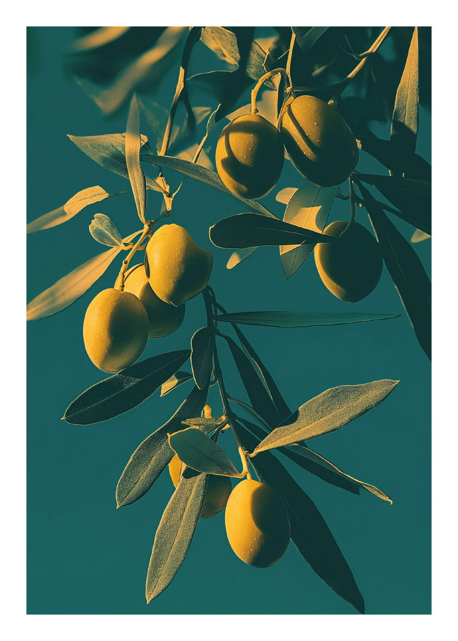 Olives 2